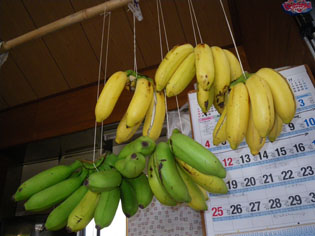 庭のバナナ